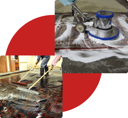 Group 20مراحل شستشو (16)