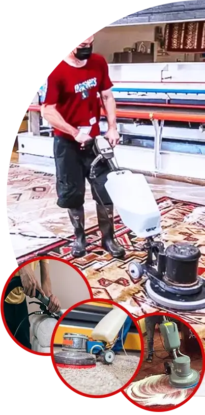 درباره ما ولیعصر