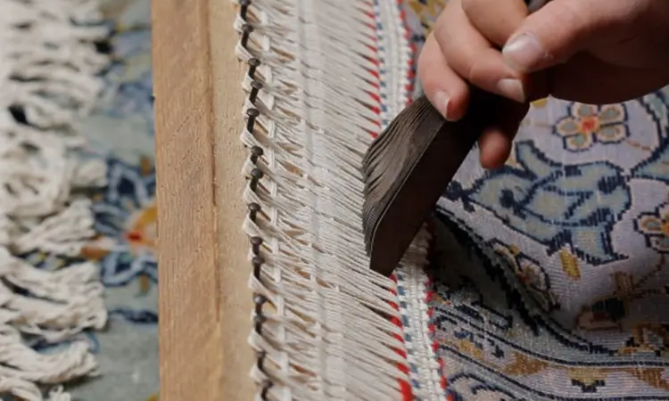 ریشه زنی فرش ولیعصر